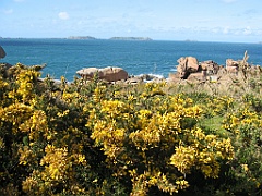 Bretagne 058